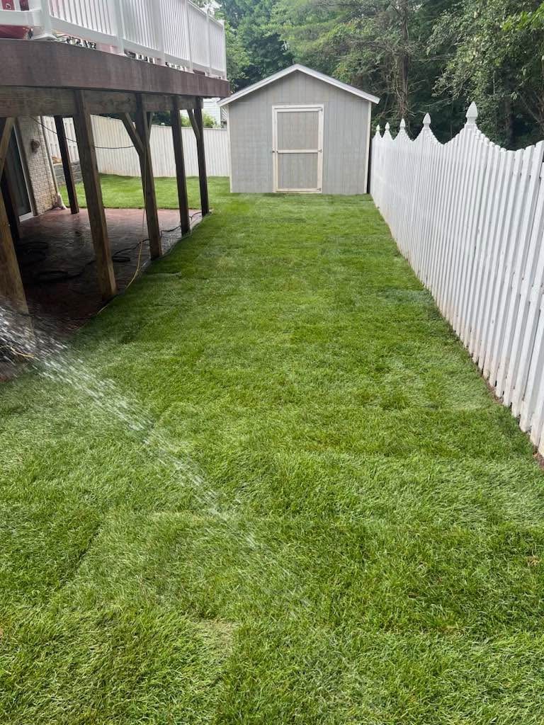 Hands installing fresh sod