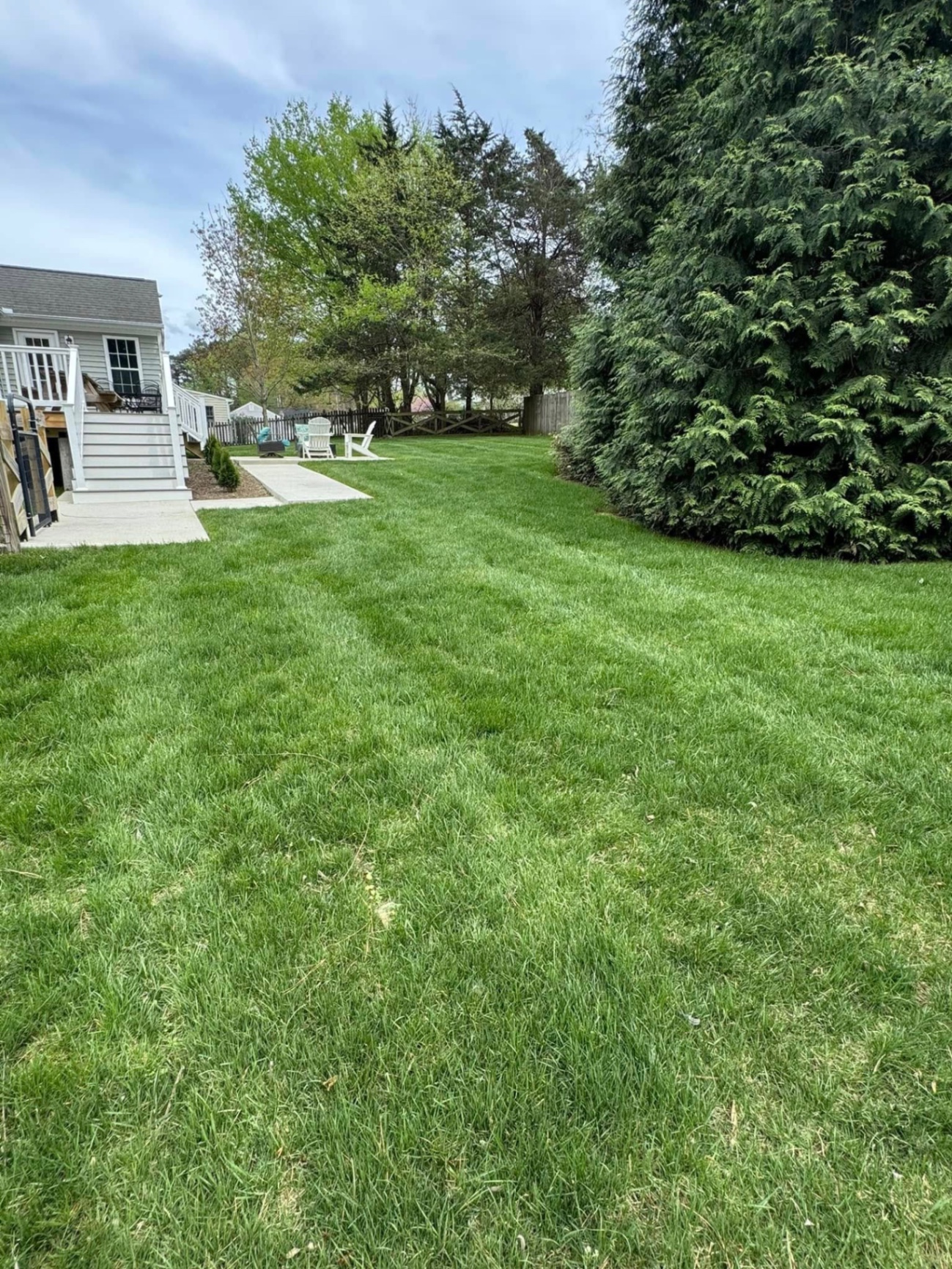 Fresh rolls of premium sod